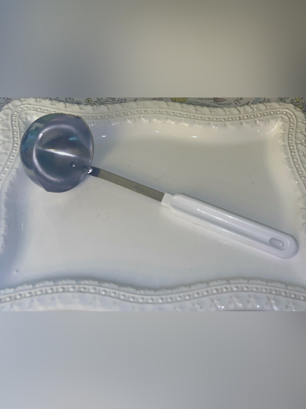 Robinson Stainless Steel Ladle White Plastic Handle Robinson Stainless USA